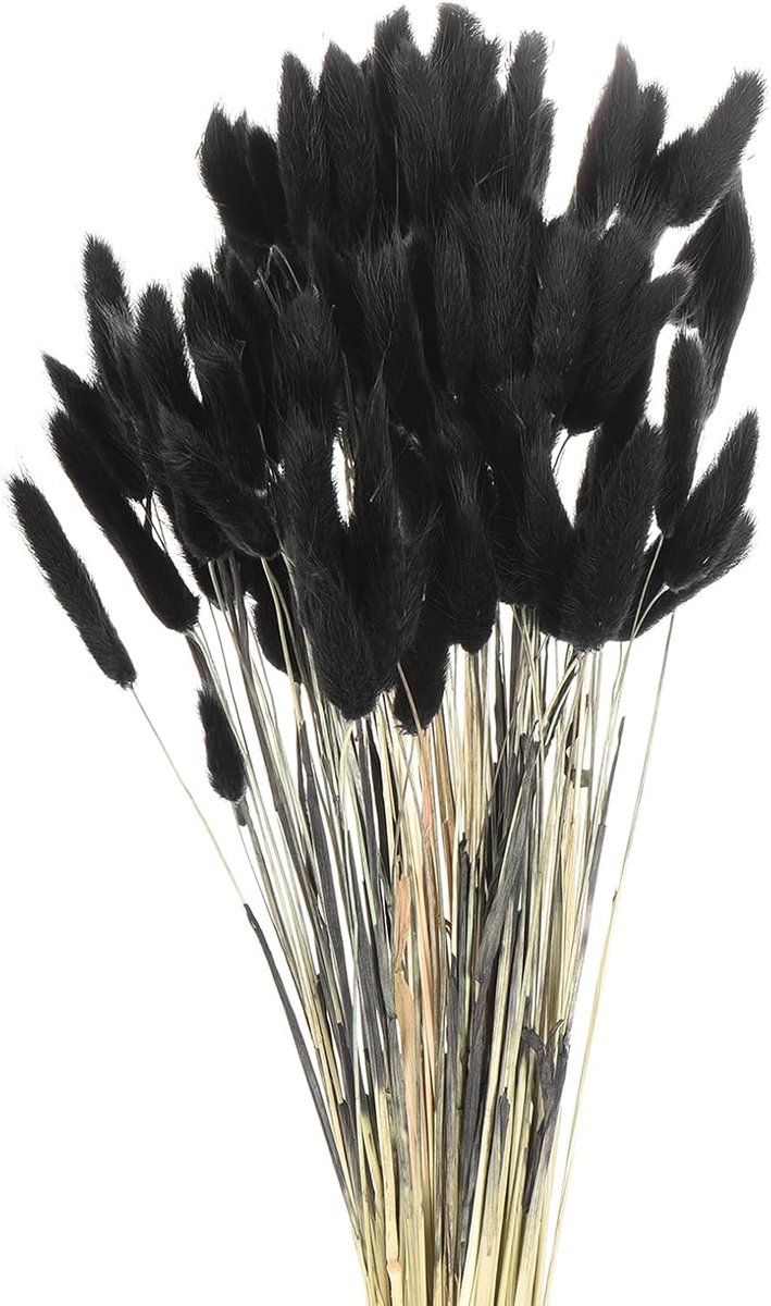 120 stuks natuurlijke hazenstaart, gedroogde bloemen, 43 cm, mini pampasgras, voor bloemendecoraties, bruiloft, Kerstmis, zwart