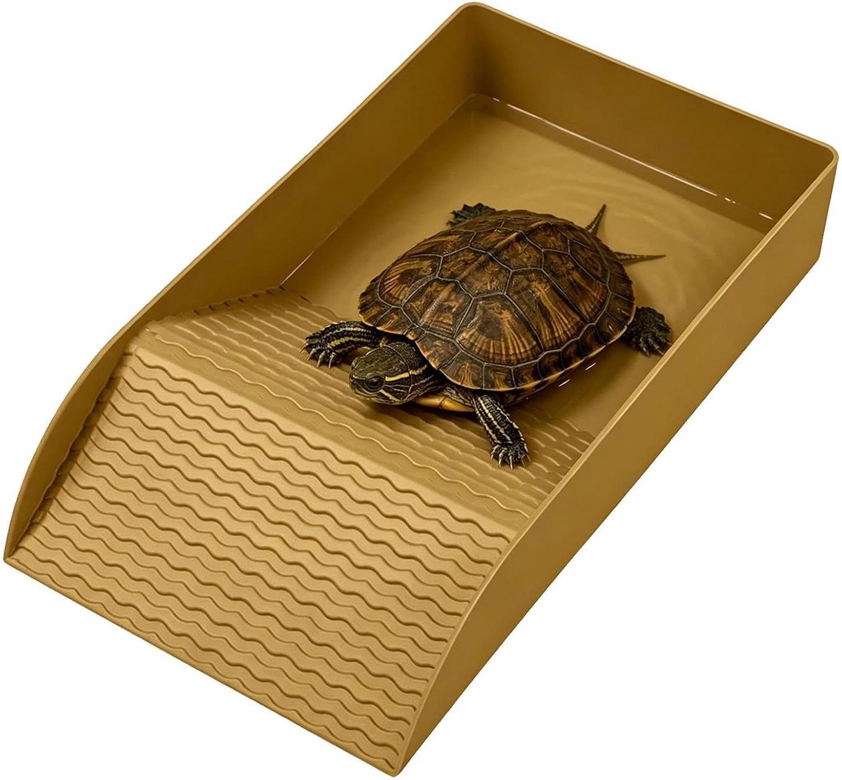 Reptielen Waterbak - Voerbak Terrarium - Reptielen Verzorgen - Antislip Helling - 33 x 16 x 7 cm - Grijs