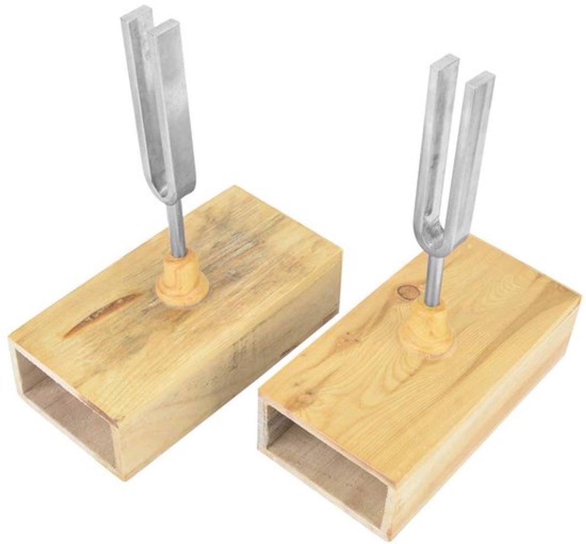 2 Stuks Stemvork 440HZ, Stemvork, Vibratie Stemvork Resonantie Stemvork met Houten Resonatorbox Experimenteel Instrument met Stemvork Klopper 6,5 X 16 Mm