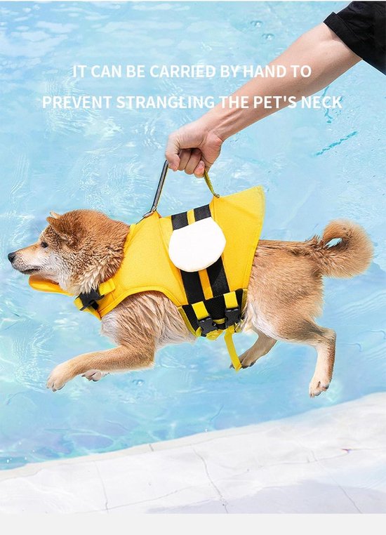 Hand tilt hond met bijen-zwemvest bij de ruggreep boven het water.