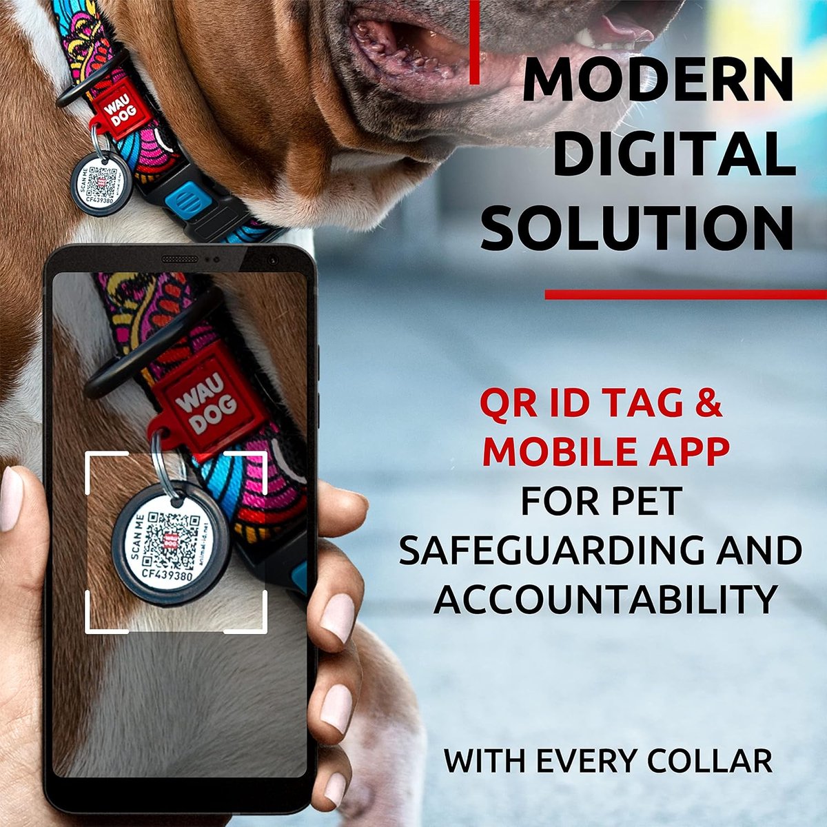 Hondenhalsband - Verstelbare halsband voor grote, middelgrote en kleine honden - Duurzaam nylon - Inclusief hondenlabel - ShopVlot