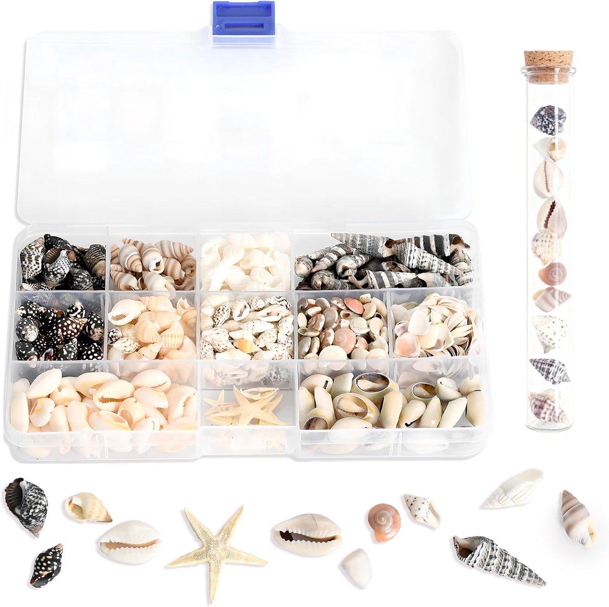 Natuurlijke schelpen 400 stuks - decoratieve schelpen en sterrenhoek - perfect voor ambacht en versieringen - ShopVlot