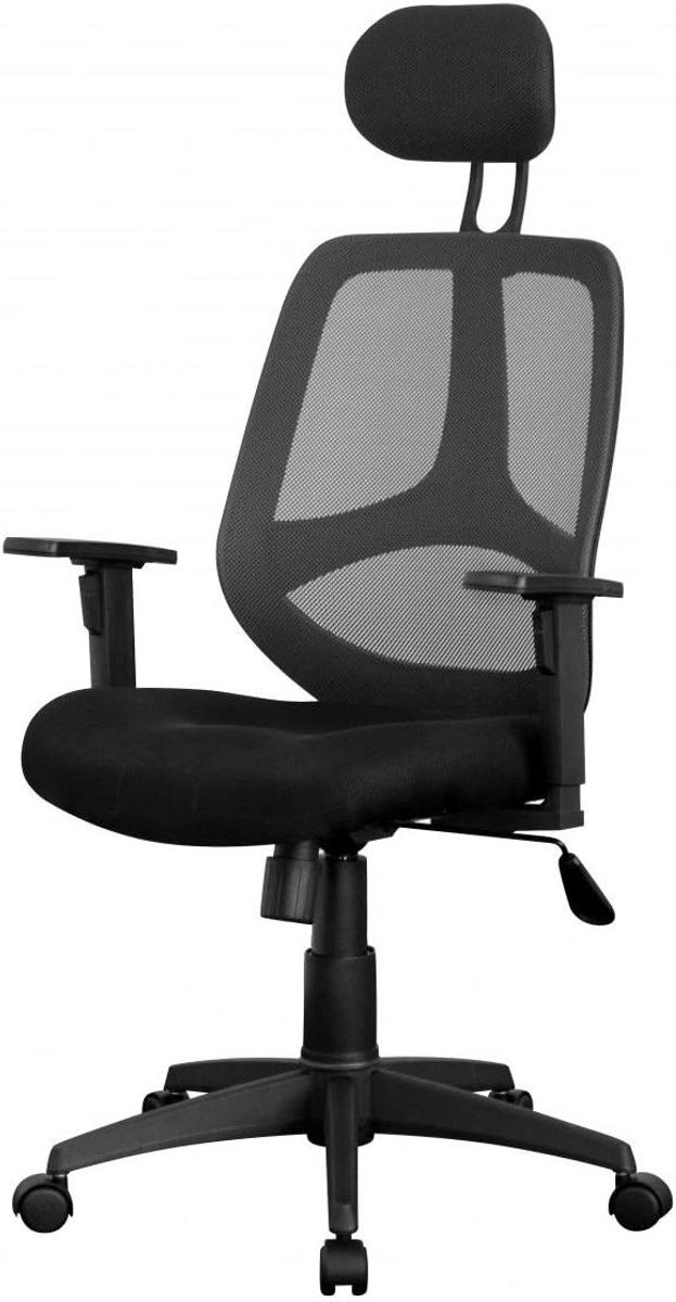 Bureaustoel Ergonomisch - Comfortabele Werkstoel - Langdurig Zitten - Verstelbare Lendensteun - 127 cm Hoog - Zwart