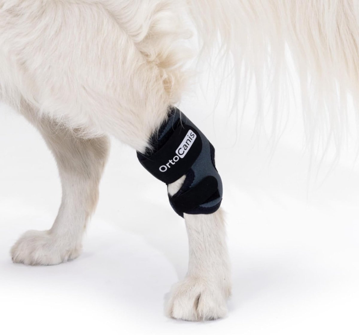 Tarsus ondersteuning hond XS - Neopreen - Bij artritis en gewrichtsblessures - ShopVlot