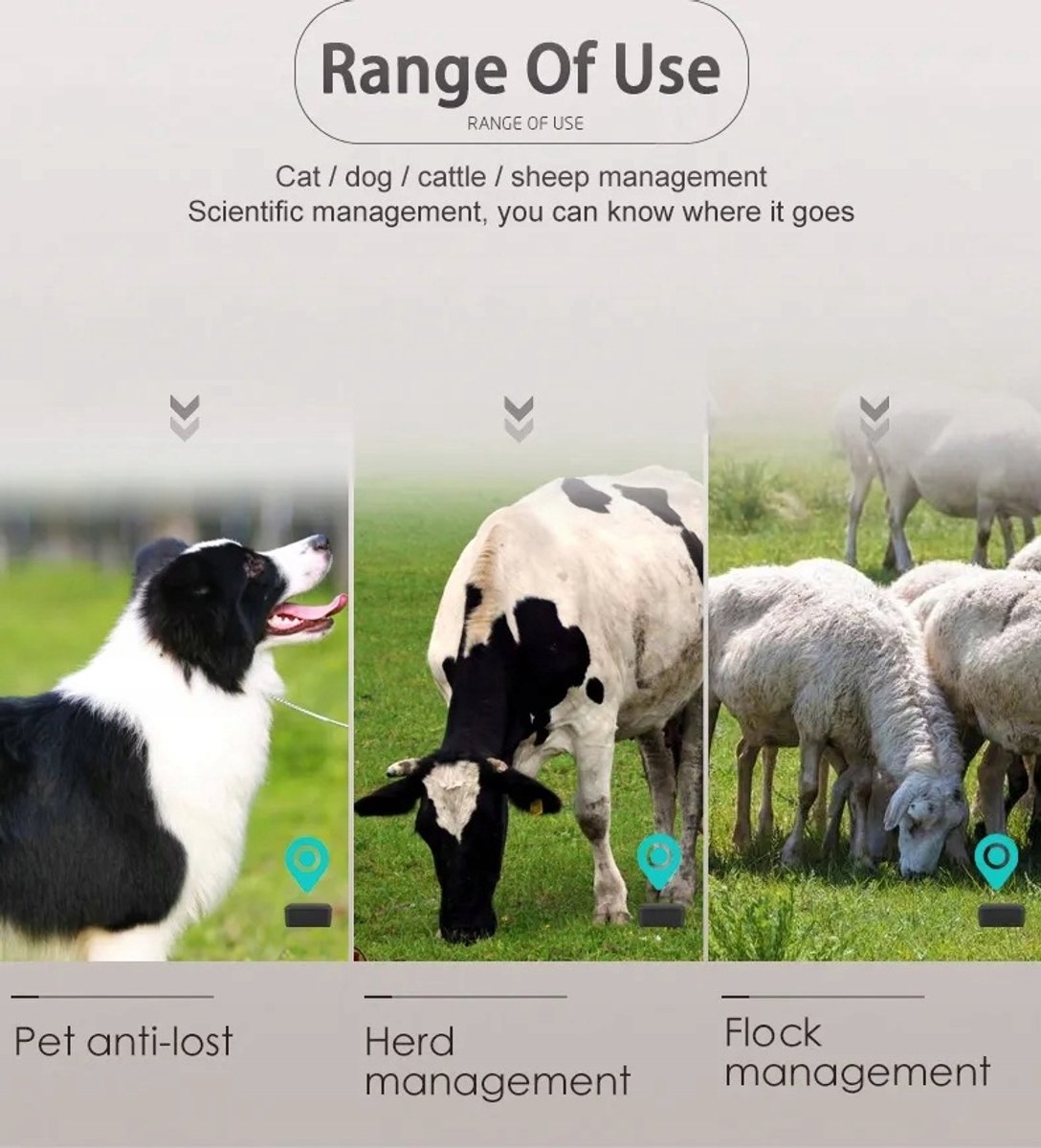 4G Mini GPS Tracker voor Huisdieren en Kinderen