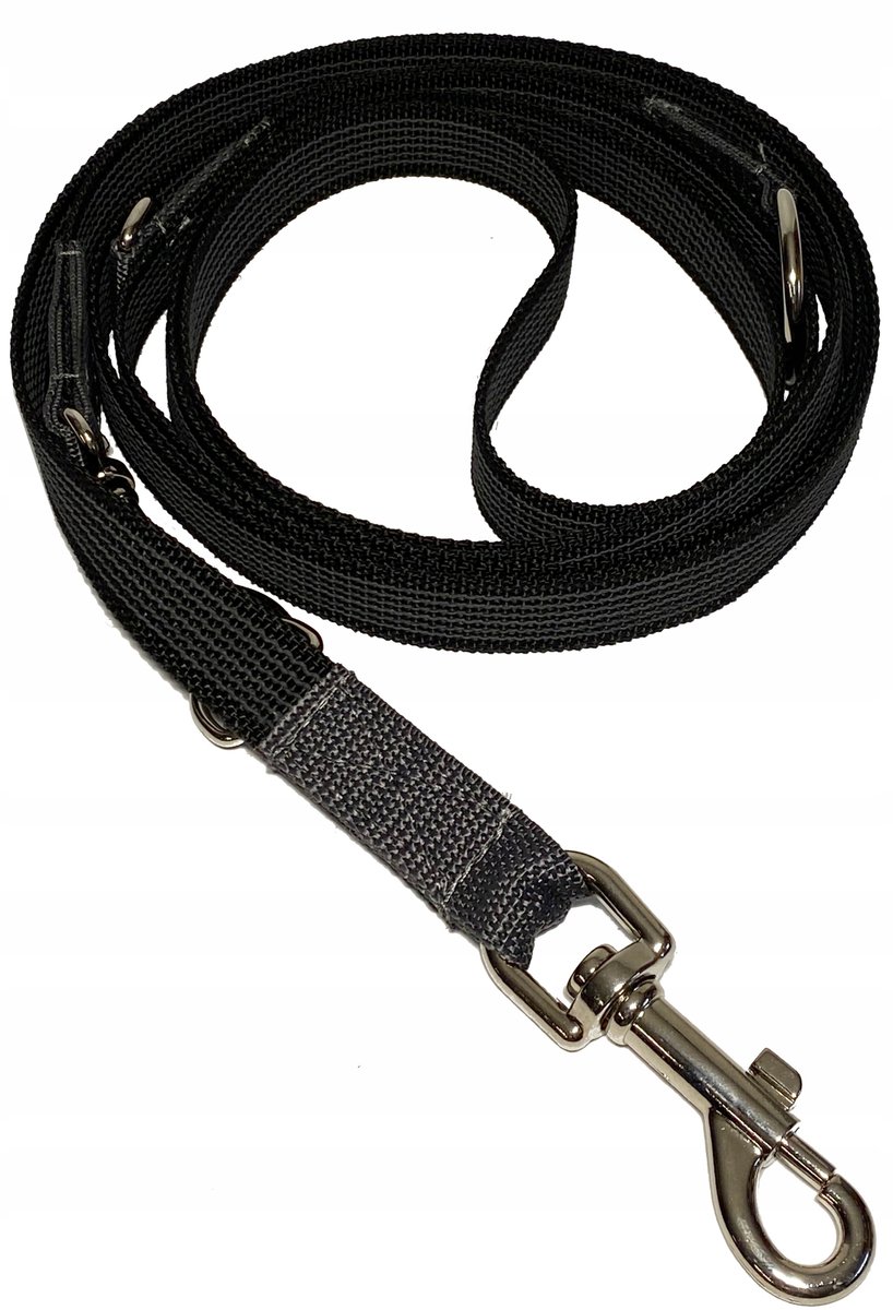 Verstelbare Hondenlijn 140-250cm, 20mm Breed, Rubberen Band