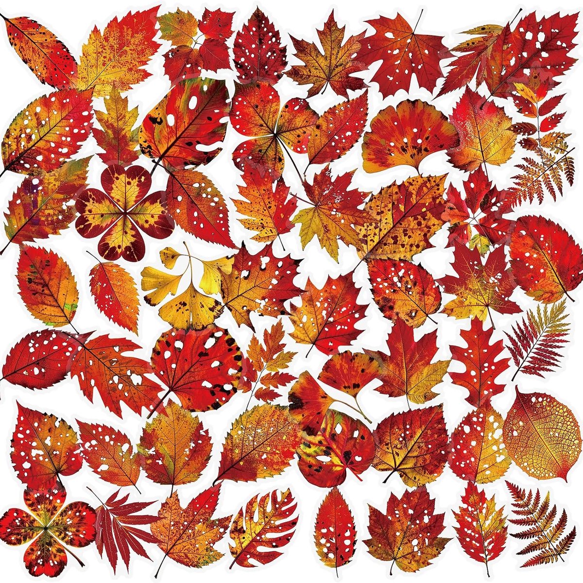 Vallen Blad Stickers – 56 Transparante Herfst Motieven – Waterdicht PET Materiaal – Perfect voor DIY Decoratie - SnelShoppen