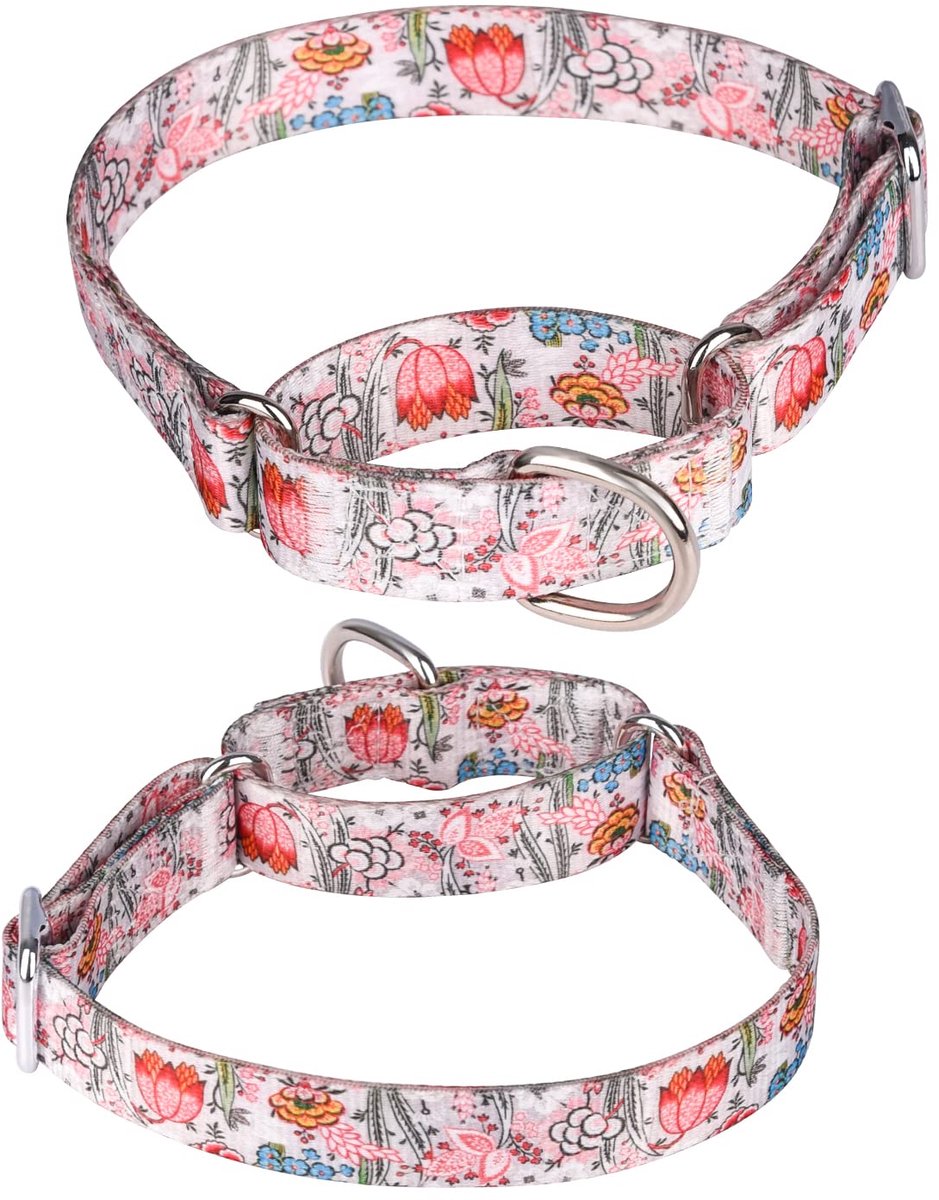 Hondenhalsband Verstelbaar - Heavy Duty Nylon - Martingale - Ideaal voor Wandeltraining - SnelShoppen