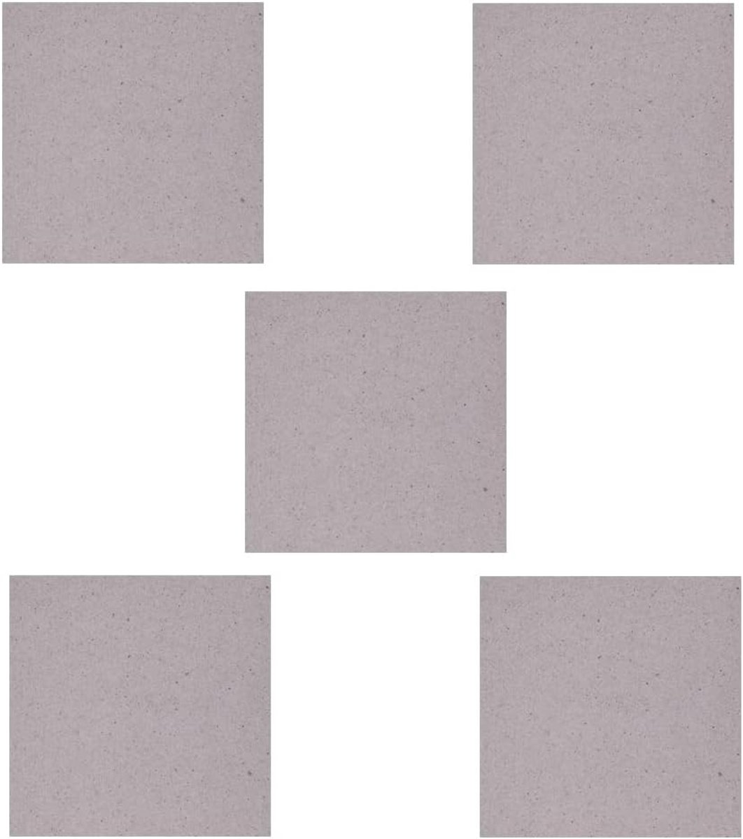 5 stuks Mica plaat voor magnetron, reserveplaat voor accessoires 13 x 13 cm
