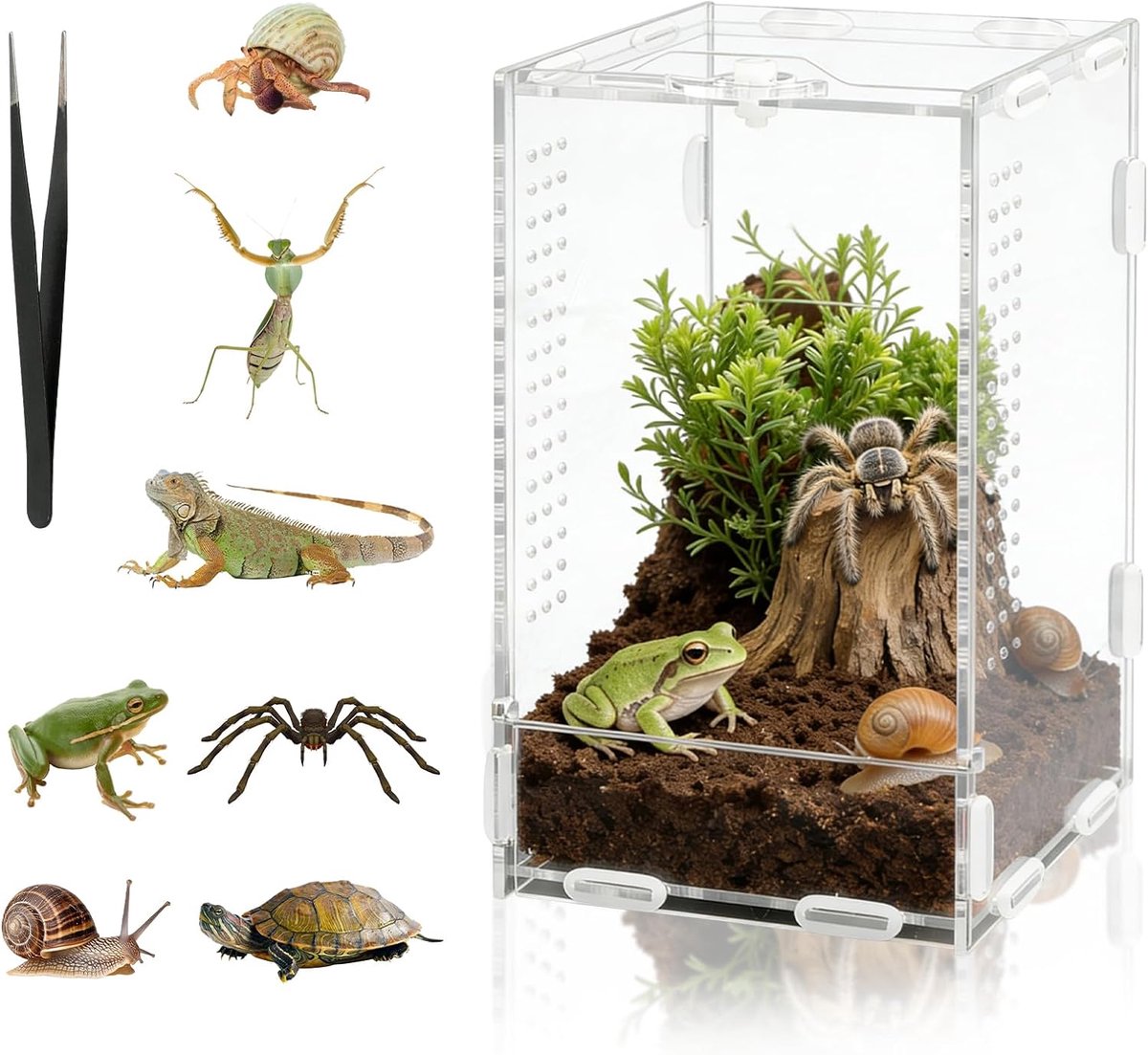 reptielen terrarium box