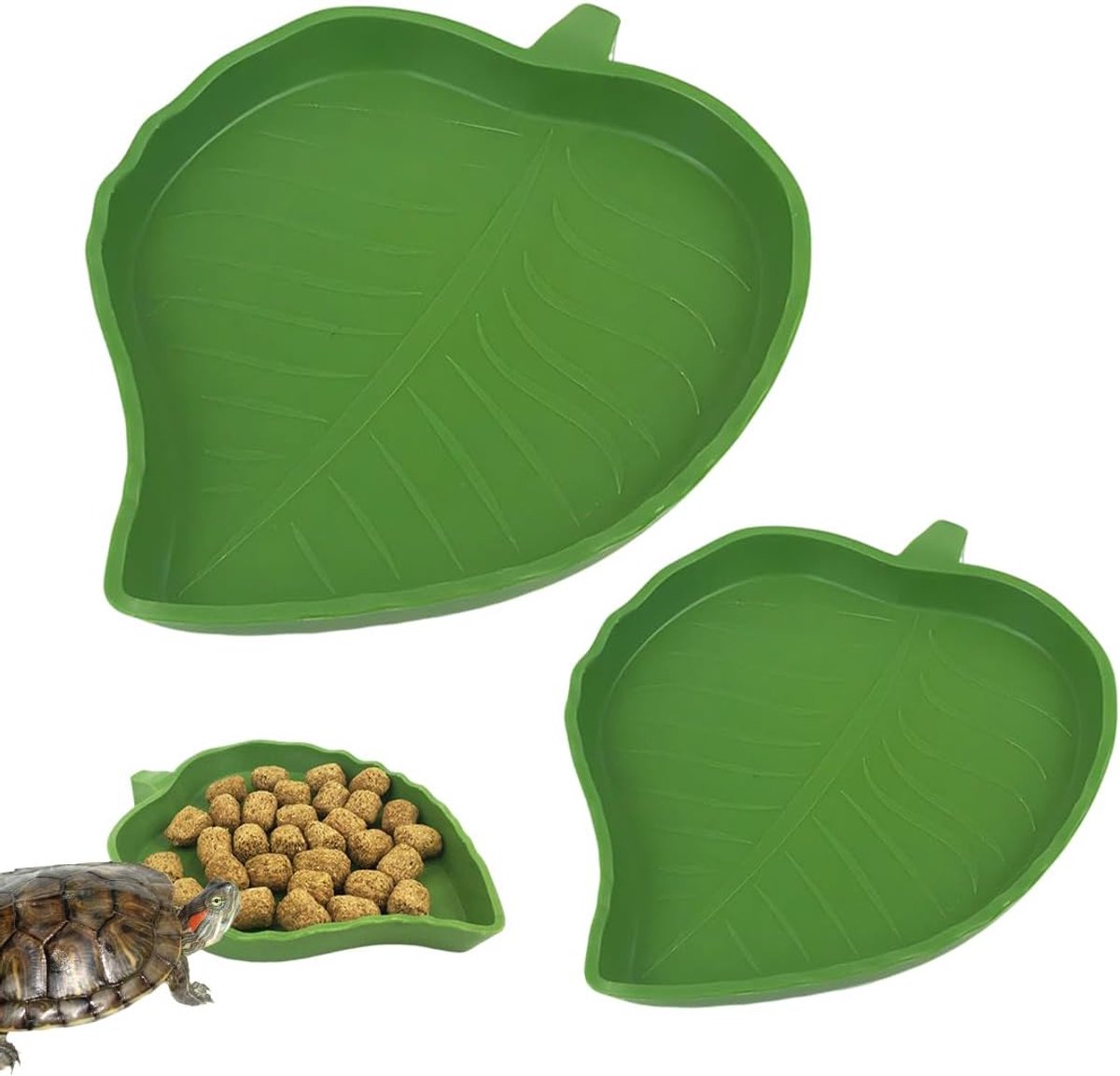 2 stuks Reptielen Water & Groene Voedselkommen Plat, Groot en Klein Terrarium voor Hagedissen