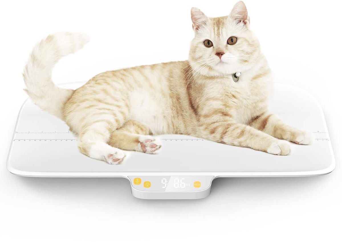 Dierenweegschaal, babyweegschaal, max. 220 lbs, precisie ± 0,02 lbs, wit, alles in één zonder demontage, design, nauwkeurig wegen van kittens, puppy's, konijnen of zuigelingen