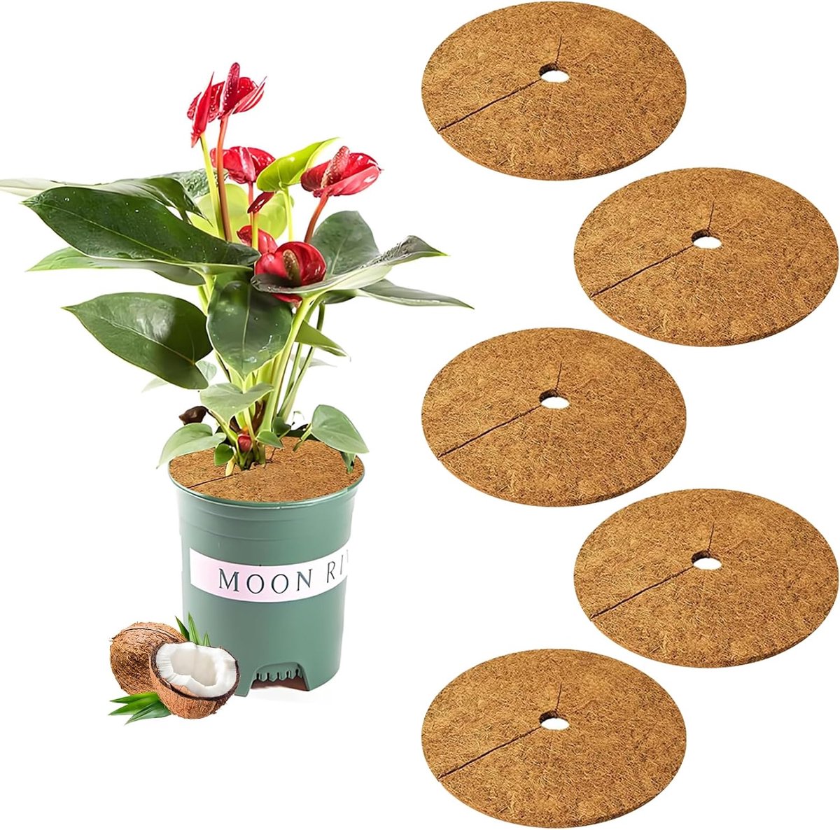 Coconut mat 20 cm - kokosdiscus - winterbescherming - betrouwbare wortelbescherming - ShopVlot