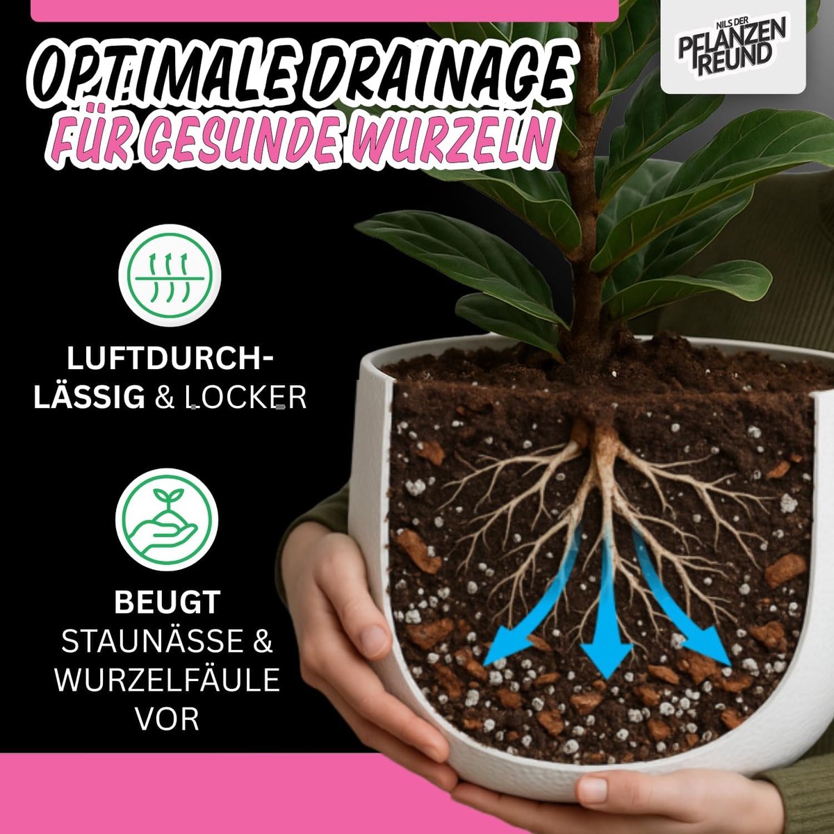 Potgrond 10 L - Voedzame Aarde - Voor Palmen en Yucca - Ondersteunt Gezonde Wortels - ShopVlot