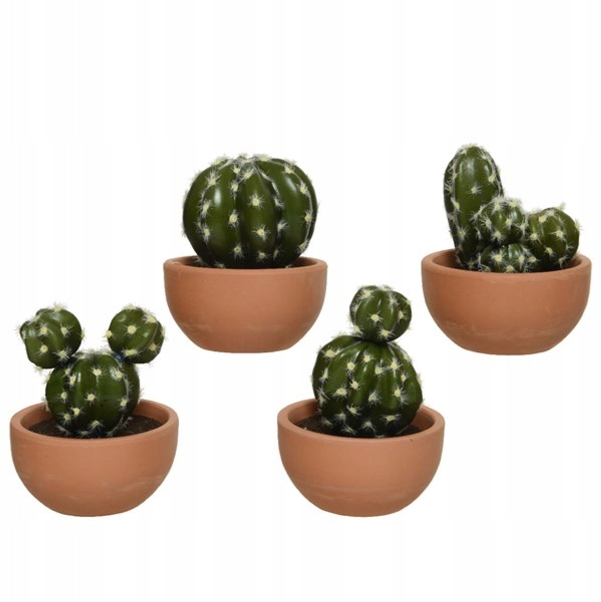 Cactus in stenen pot