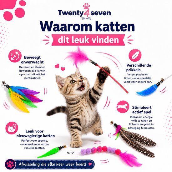 Kitten jaagt op roze veer aan hengel. Diverse veren, pluchen wormen en kralensnoer met veer.
