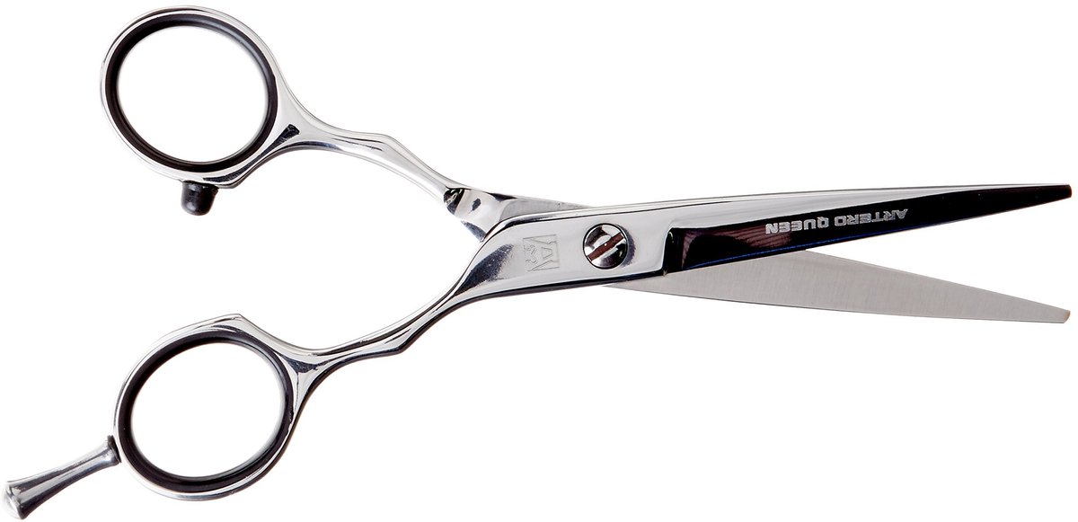 Hairstyling Schaar - 5.5 Inch - Tweehandig