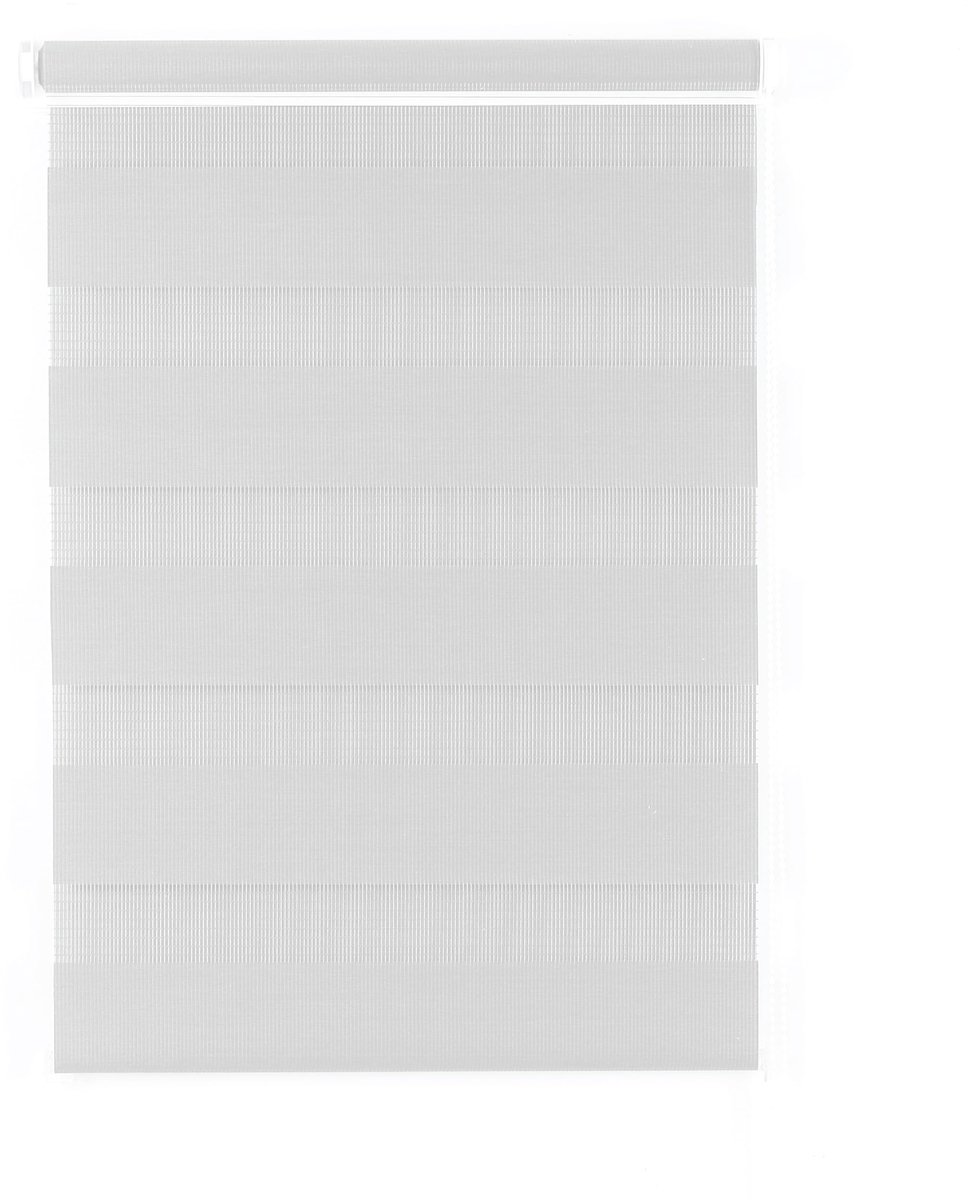 Elzusha - Zebra Dag en Nacht Rolgordijnen - Eenvoudig te Monteren - 49 x 165 cm