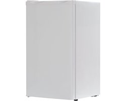 Tafelmodel Koelkast - Kleine Koelkast - Voedsel Vers Houden - Energieklasse E - 94 L - Wit