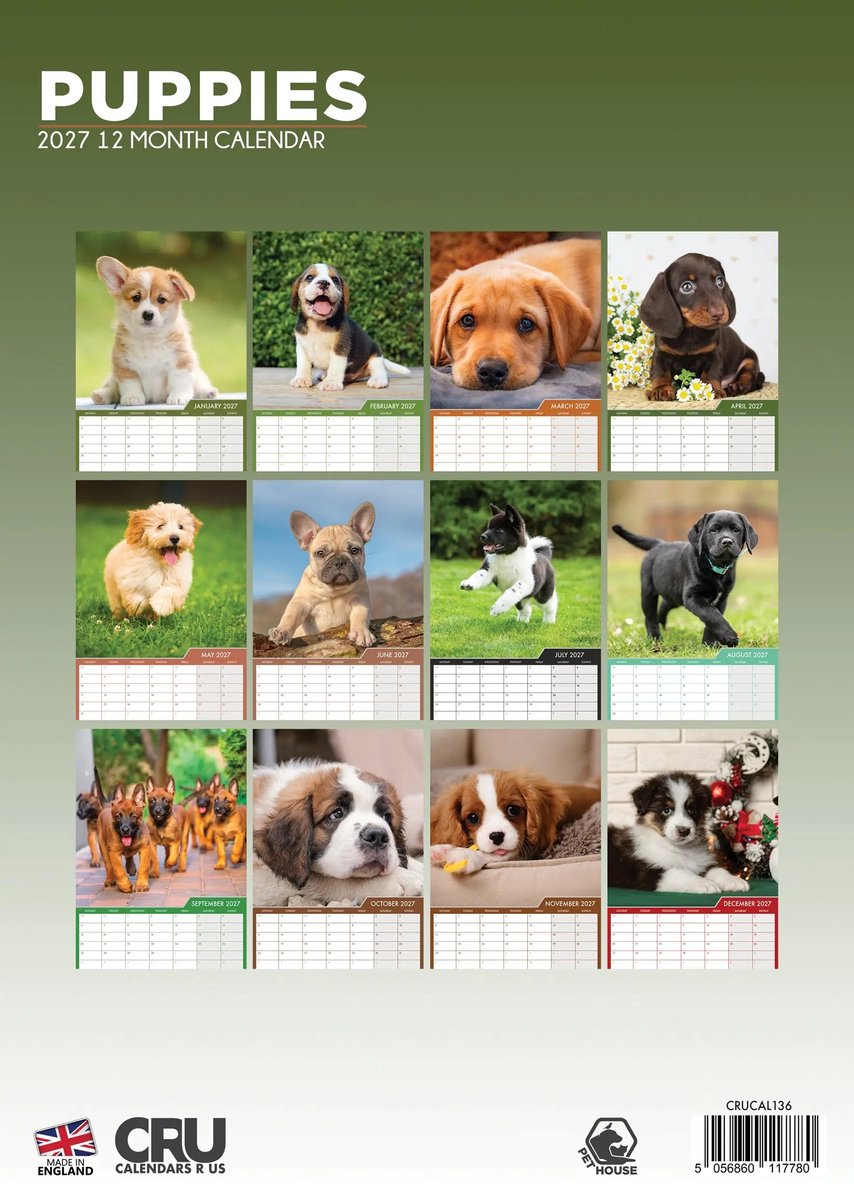 Puppies A3 Kalender 2027