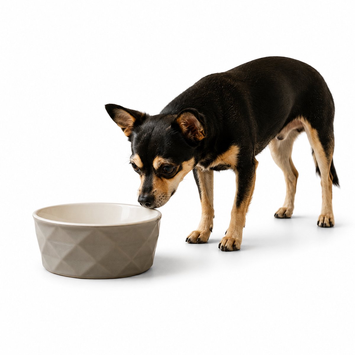 belviona Keramische voerbak hond, antislip & vaatwasserbestendig, 350 ml mat donkergrijs/lichtgrijs