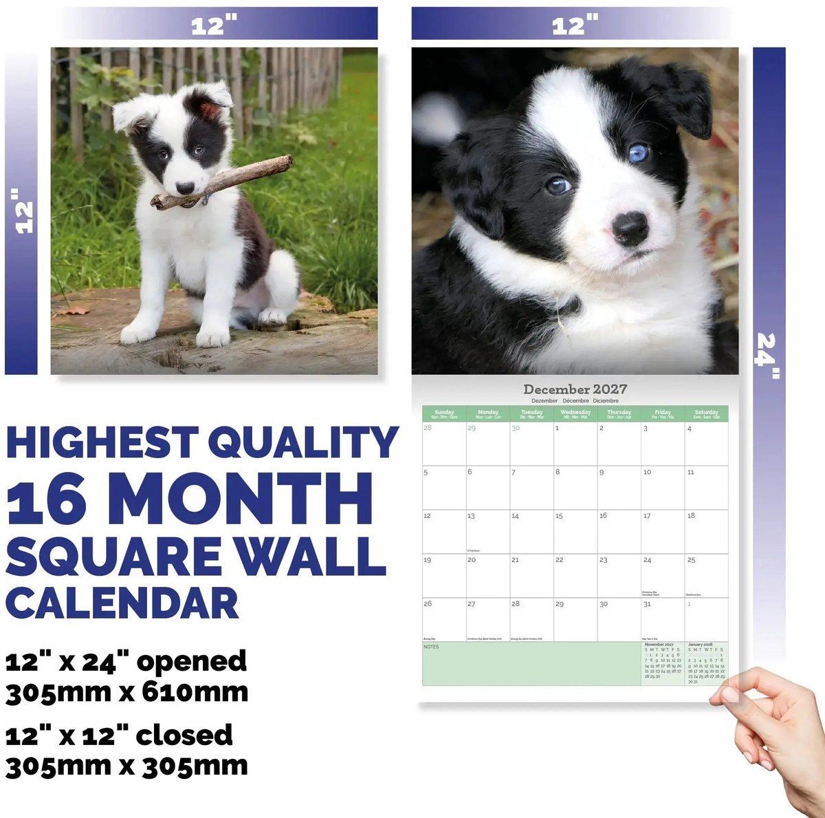 Border Collie Puppies Kalender 2027