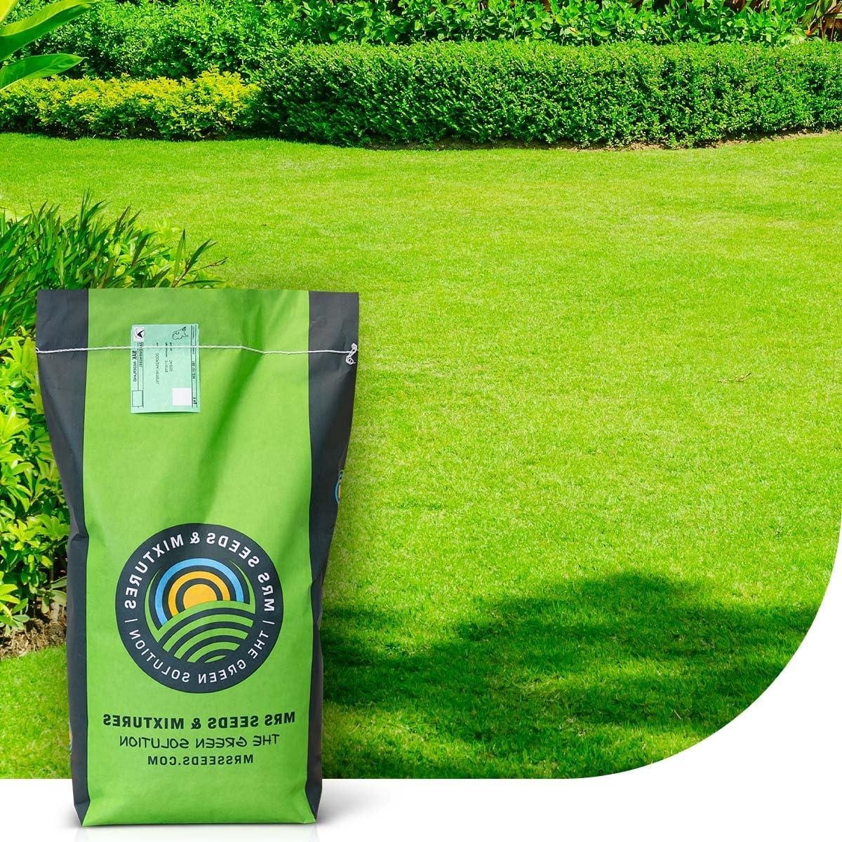 Graszaad Mengsel - Siergazon Zaden - Mooi Gazon Creëren - Schaduw Tolerant - 1 kg - Groen