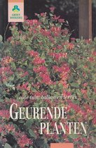 Geurende planten