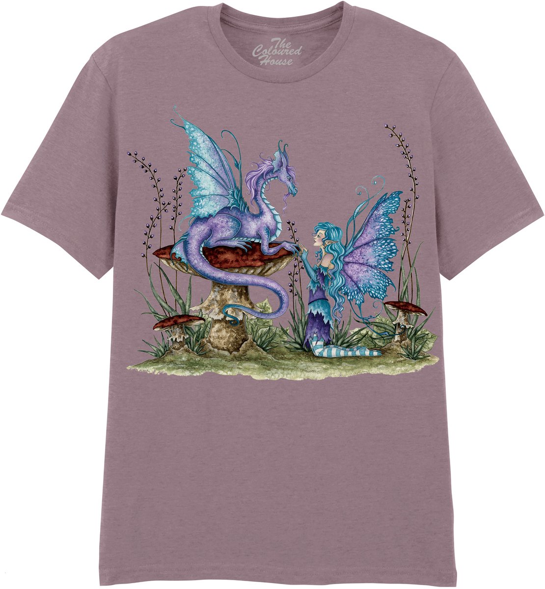 Companions The Coloured House T-shirt 3XL