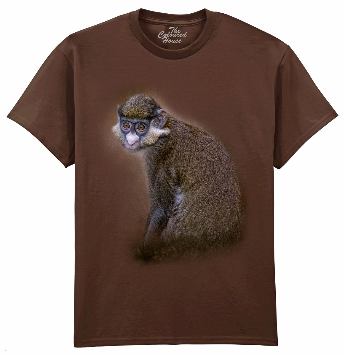 Aap Clever Eyes The Coloured House T-shirt XXL
