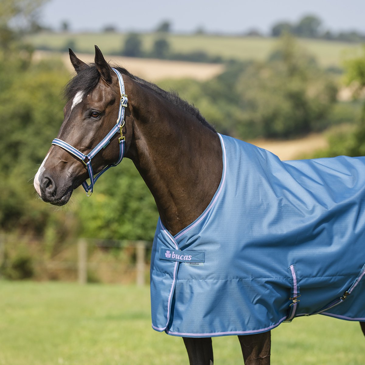 Bucas Halster Bucas Dublin Aw26 Blauw