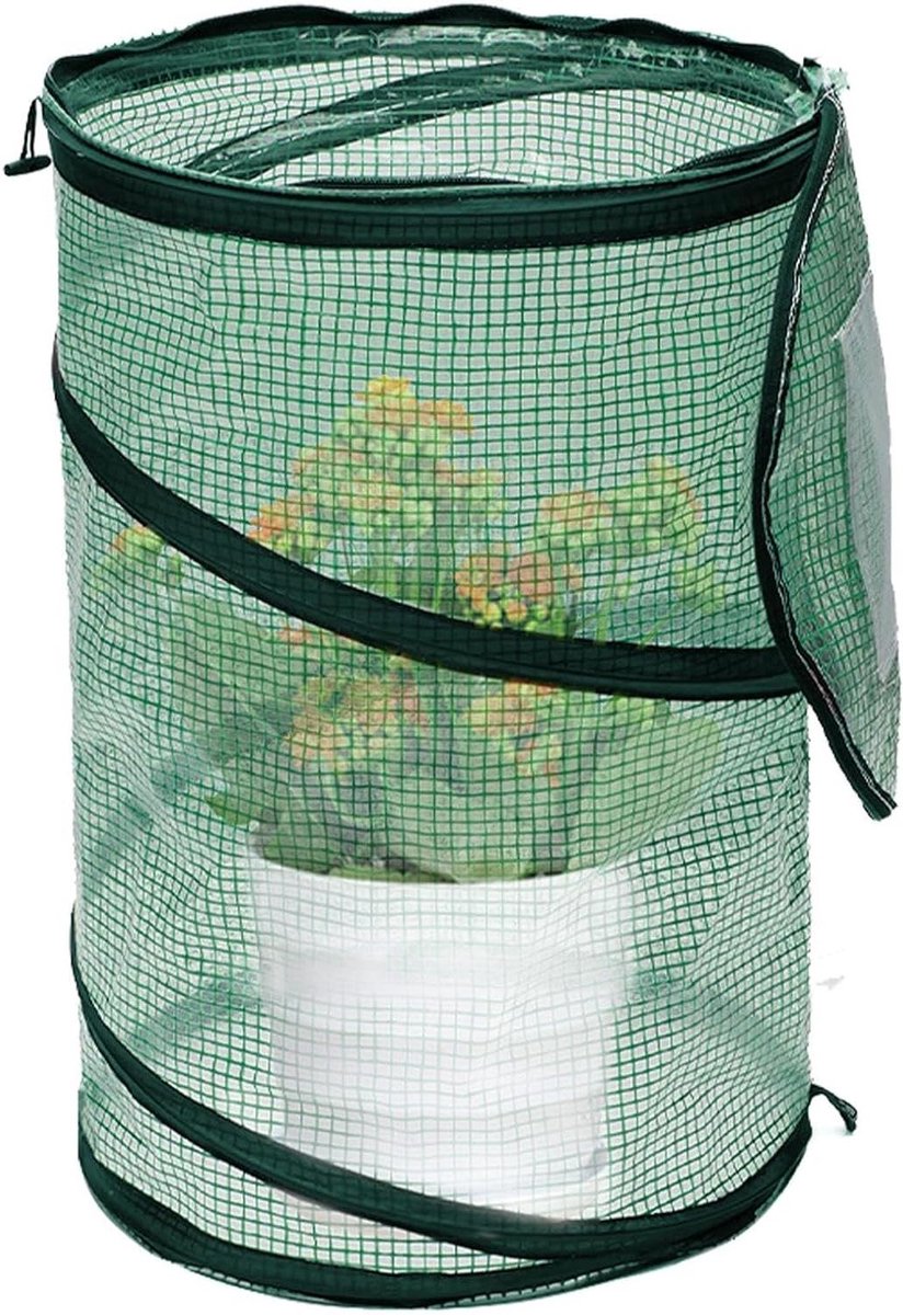 Kamerbroeikas - Plantenkas Buiten - Planten Beschermen - Pop-up Ontwerp - 50 x 68 cm - Groen