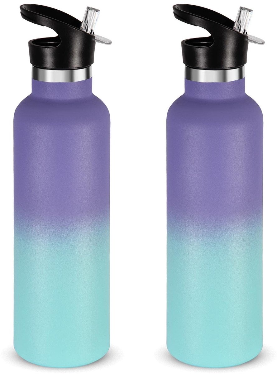 Omgoods - RVS Drinkfles 750 ml met Rietje voor Kinderen