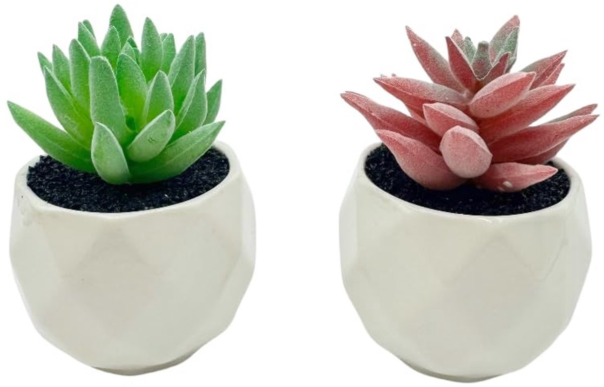 Omgoods - Nep Succulenten in Potten - Mini Kunstplanten voor Decoratie - Rood + Groen
