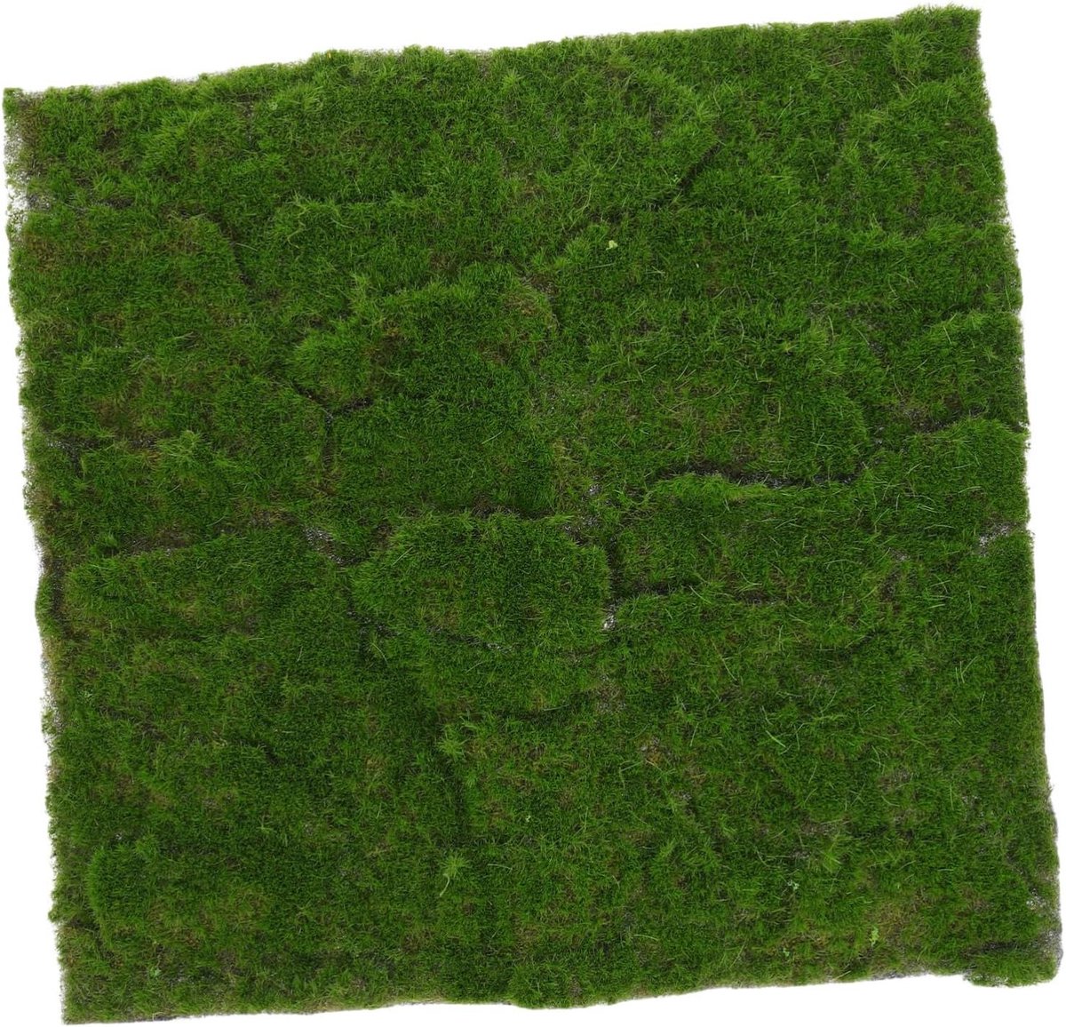Mosmat Gazon - Kunstmos Nepgras - Decoratie Tuin - Levensechte Uitstraling - 30x30 cm - Groen
