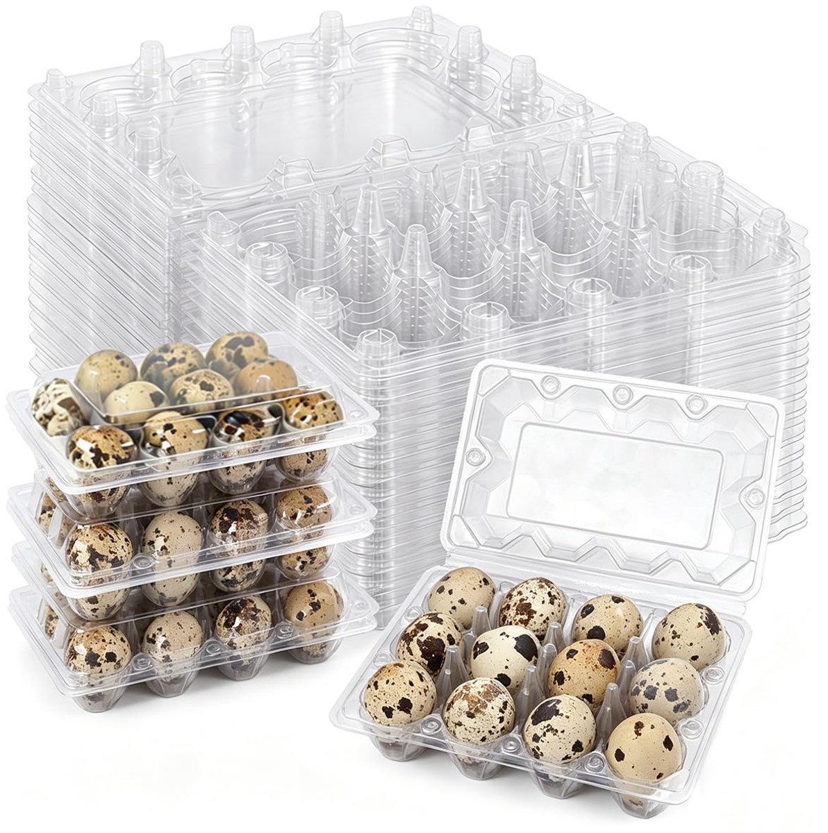 Eierdozen, kunststof, kwarteleiercontainers, eierdozen