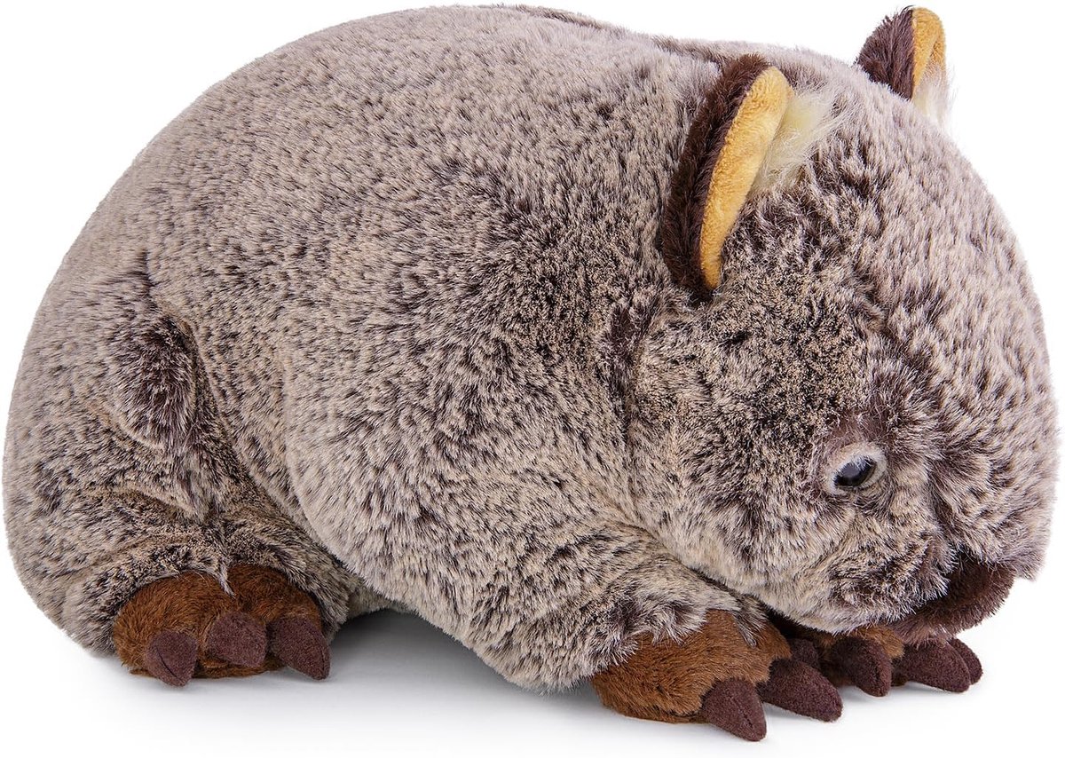 lilizzhoumax Wombat Knuffeldier Pluche Stoffdier Dier Kawaii Realistisch Speelgoed Wild Zacht Schattig Cadeau voor Jongens Meisjes Kinderen Leeftijd 4 5 6 7 8 Verjaardag 28cm/11Zoll