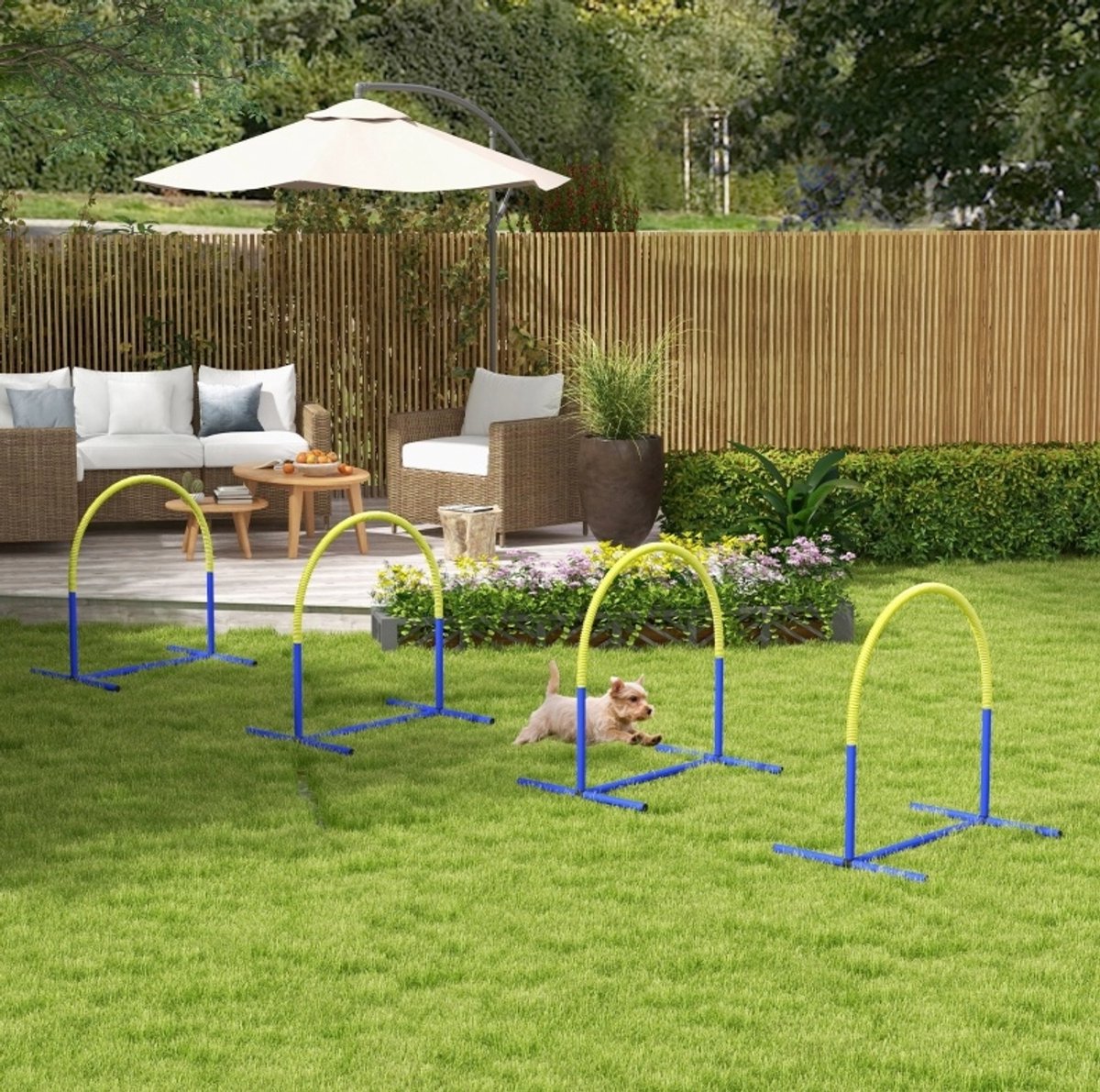 REDOM- Agility-Set voor honden - Springring - 4-delig - Met draagtas - Kunststof - Blauw - Voor training op gras of vlakke ondergrond - 88 x 64 x 95 cm