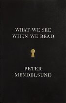What We See When We Read