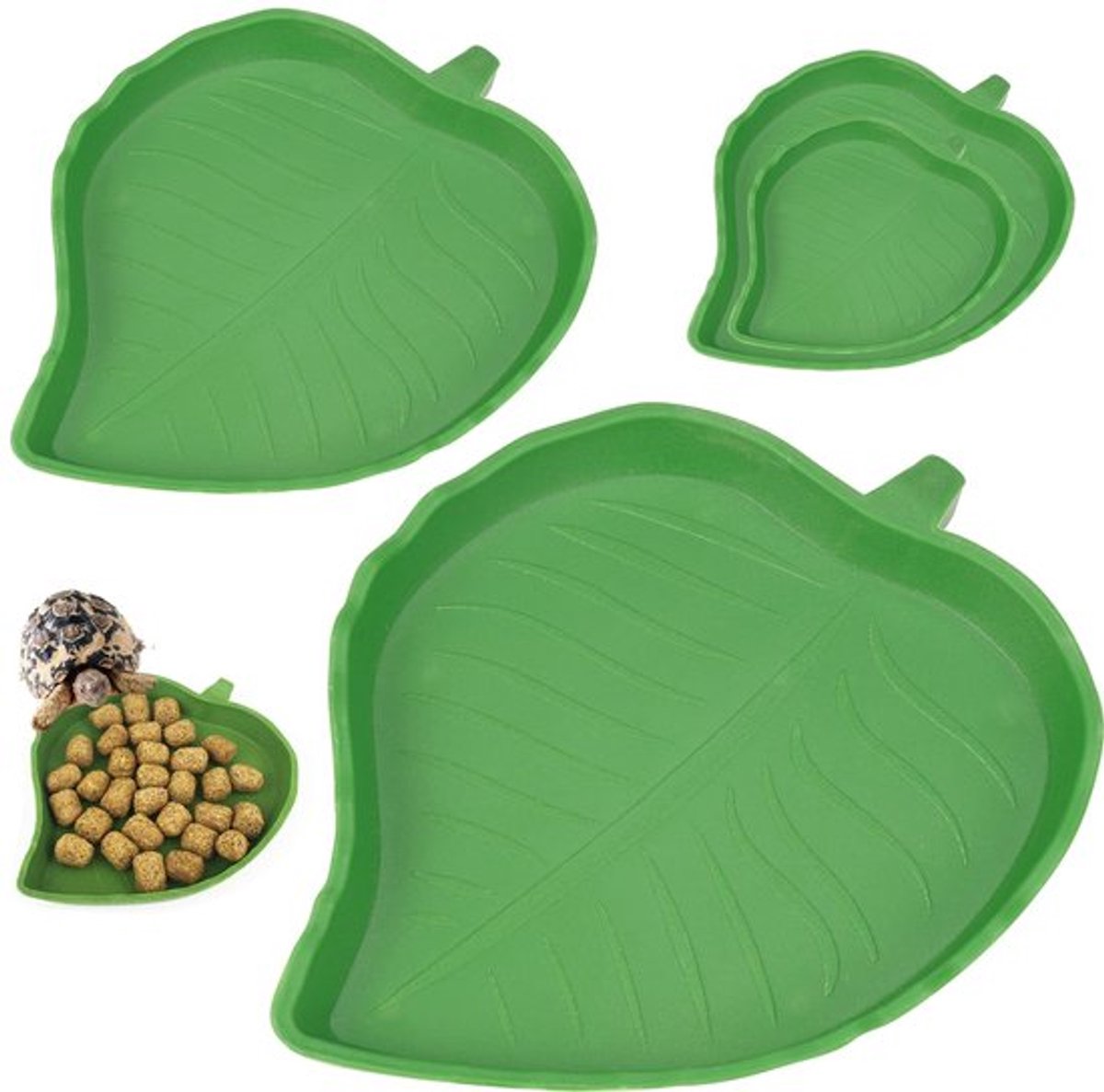 Allecto - Reptiel voederbak - Schildpad accessoires - Bladvorm - Groen - Reptielen