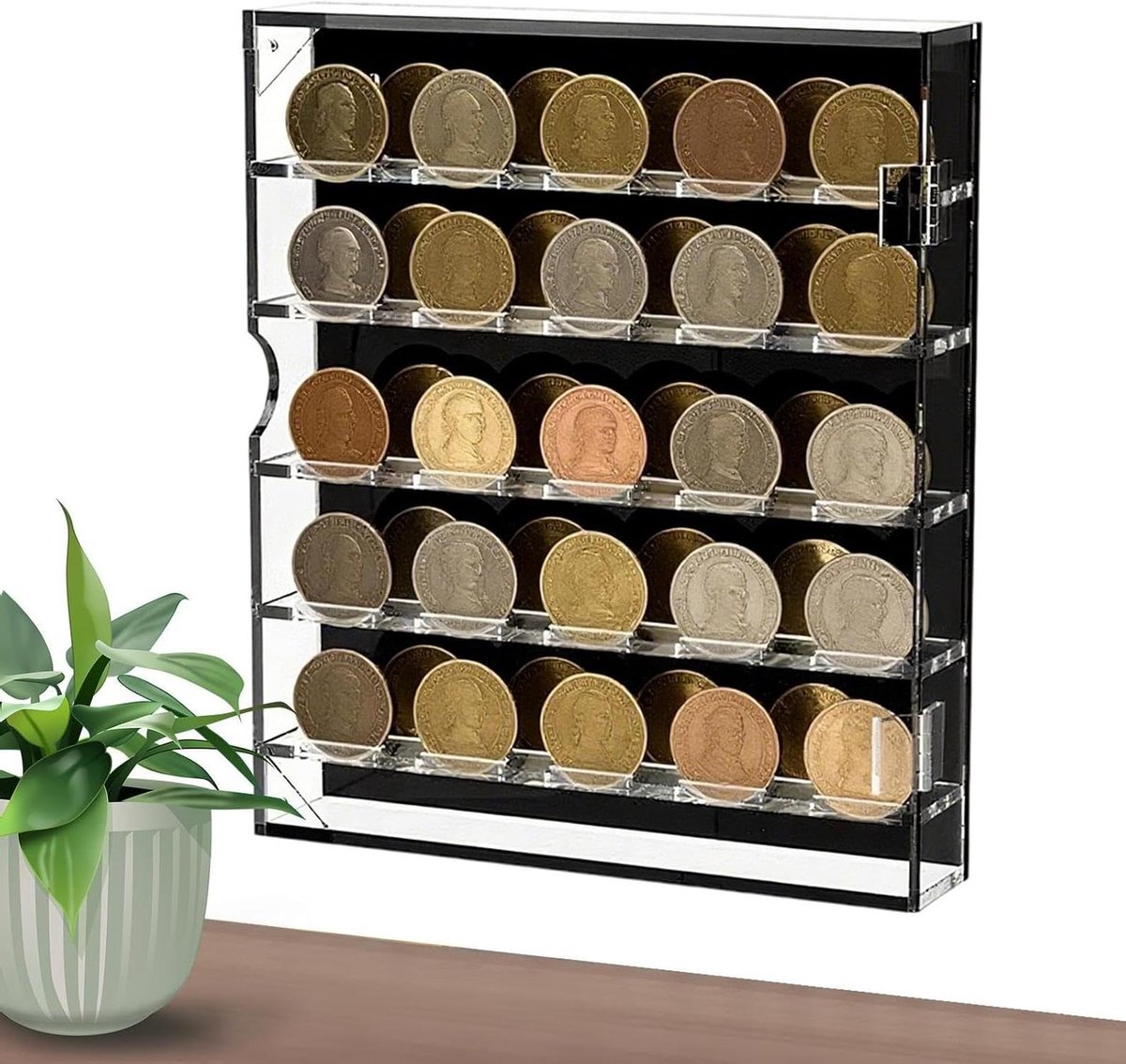 Munten Display - Muntkast Spelden - Verzamelingen Tonen - 360 Graden Bescherming - 32 x 28.6 x 1 cm