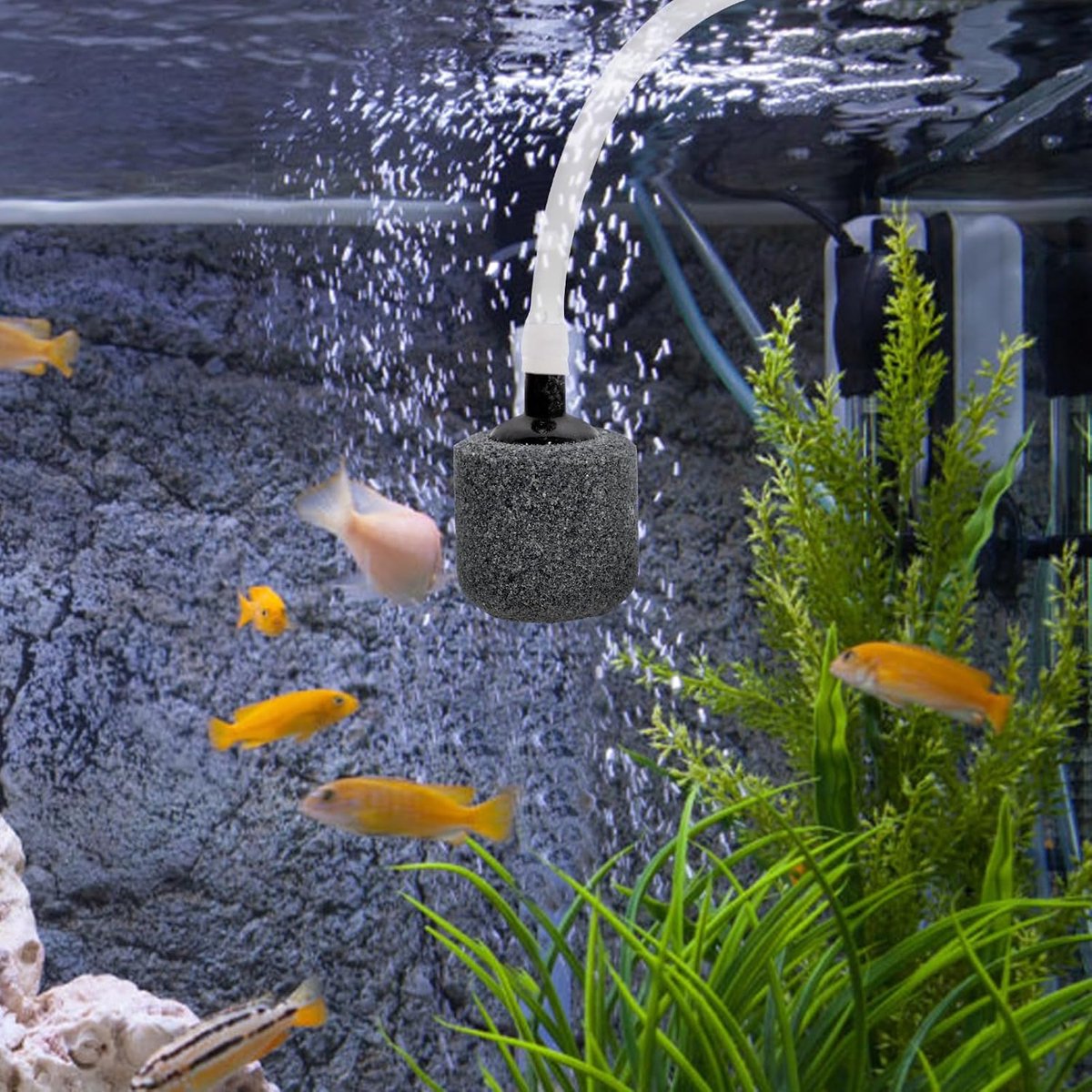 Aquarium Bubbelstenen - Luchtsteen Aquarium - Waterkwaliteit Verbeteren - Fijn Zandsteen Materiaal - 34 x 22 x 22 cm - Grijs