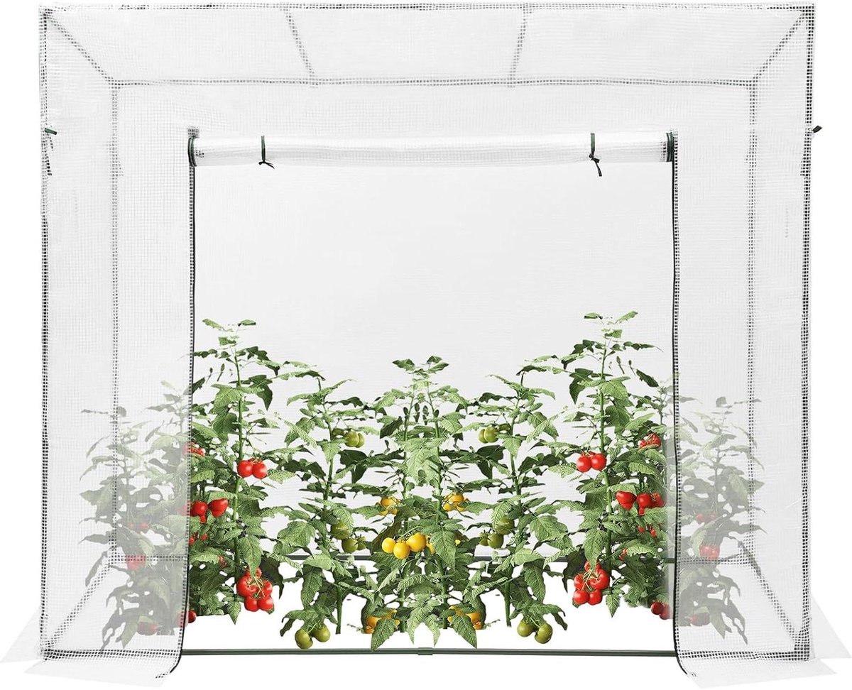 Tomatenkas Plantenkas - Foliekas Broeikas - Planten Beschermen - Winterbestendig Ontwerp - 200 x 78 x 167 cm - Wit