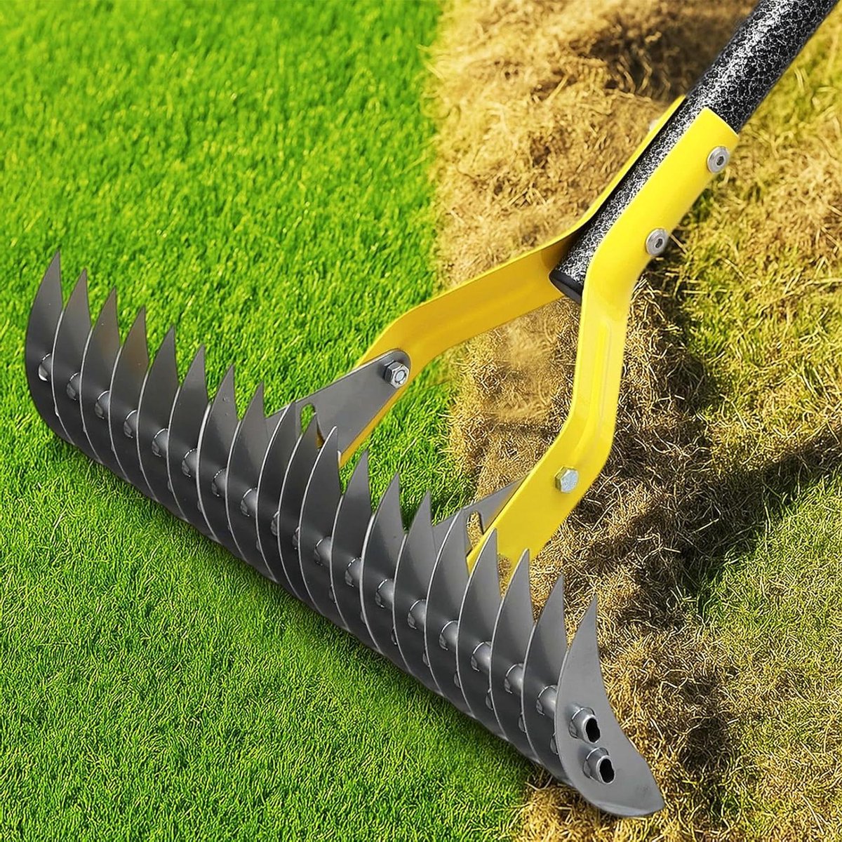 Verticuteerhark Gazon - Verticuteerhark Tuin - Gazon Onderhoud - Dubbelwerkende Kop - 38 cm - Staal
