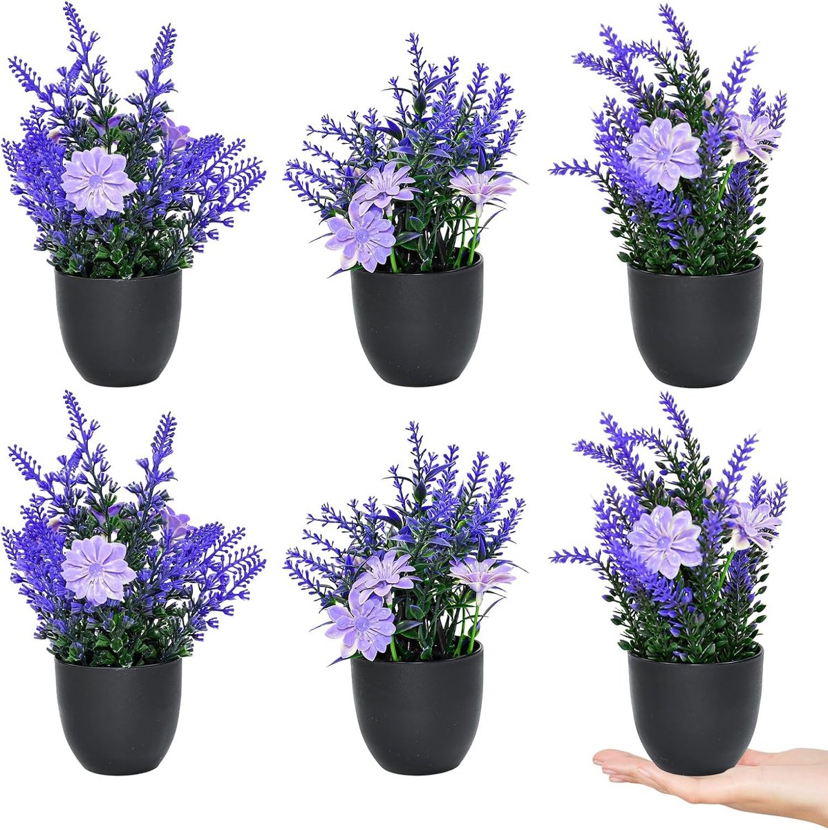 Groeikit voor Lavendel: Kweek je Eigen Aromatische Planten Thuis met Eenvoudige Stappen en Tips
