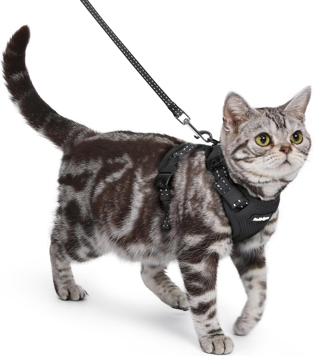 Kattenharnas - Zwart - S - Ademend Air Mesh met 3 Verstelbare Gespen - Voor Kleine en Middelgrote Katten