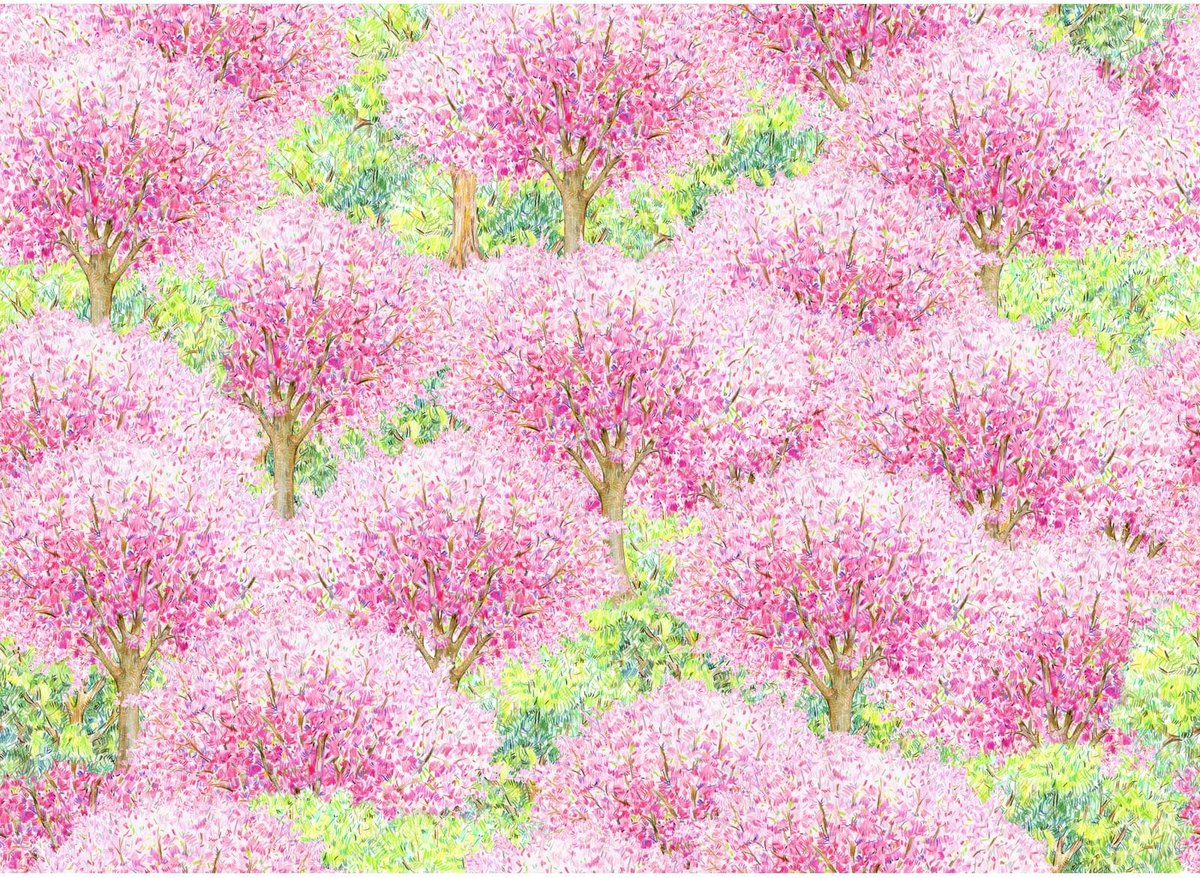Puzzels voor volwassenen 500 stukjes - Kersenbloesem afbeelding - Voor het hele gezin - Perfect cadeau voor mannen - ShopVlot