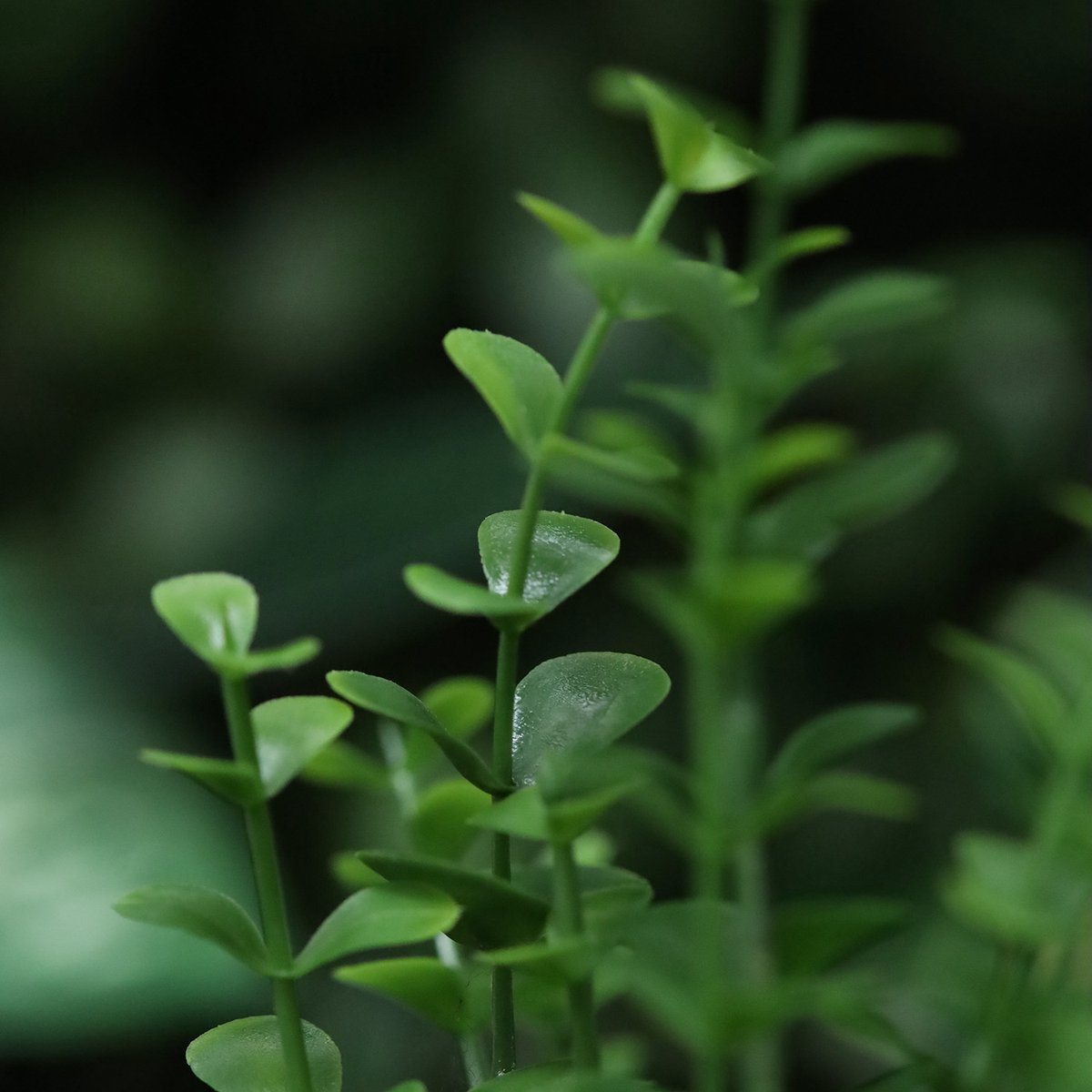 Buxus Kunstplant Groen 50cm in kweekpot 12cm