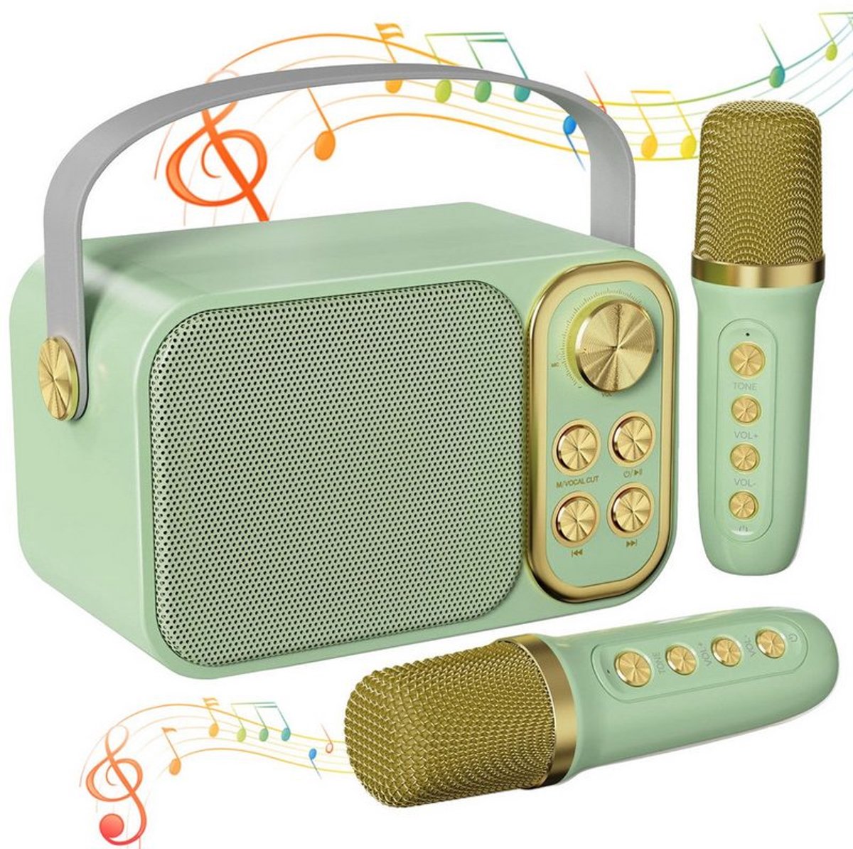 Bluetooth-luidspreker karaokemachine met dubbele microfoons