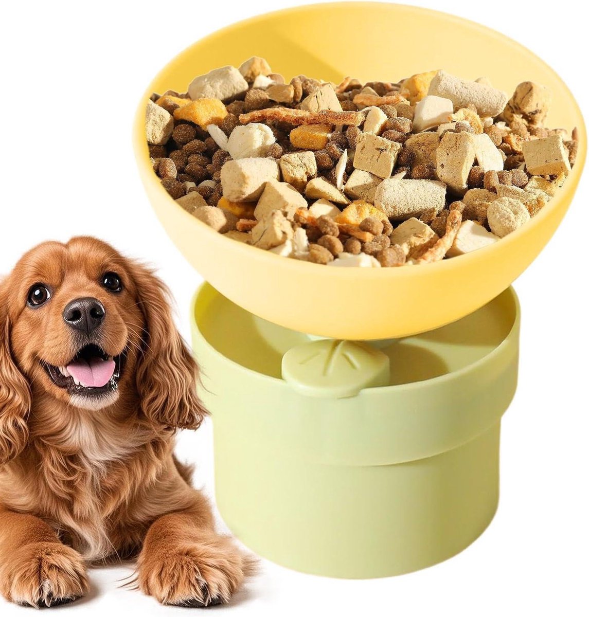 Voerbak Huisdier - Voerbak Kat Puppy - Comfortabel Eten - Kantelbaar 15 Graden - 13 x 13 x 6.5 cm